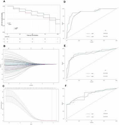 Development and Validation of a Prognostic Model for Cognitive Impairment in Parkinson’s Disease With REM Sleep Behavior Disorder